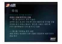 [소비자광고심리학] 광고로보는 애니콜 vs 스카이-13