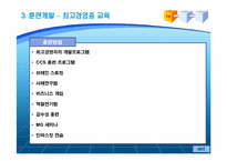 [인적자원관리] 국내 100대 기업의 교육훈련제도-12