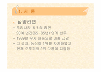 [마케팅성공전략] 삼양라면 성공전략-3