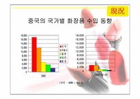[화장품산업] 중국화장품시장의 현황과 한국화장품진출전략-5
