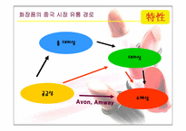 [화장품산업] 중국화장품시장의 현황과 한국화장품진출전략-8