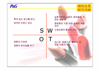 [화장품산업] 중국화장품시장의 현황과 한국화장품진출전략-13