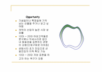 [사업계획서] 일본캐릭터상품 관련 사업계획서-14