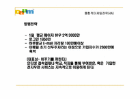 [인터넷마케팅] 다음 커뮤니케이션 마케팅전략-11