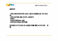 [인터넷마케팅] 다음 커뮤니케이션 마케팅전략-12