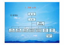 [인사관리] 대한항공 인사제도의 문제점과 해결방안-4