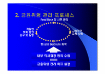 [금융위험관리] 삼성물산 금융위험 관리 원칙과 철학-8