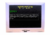 [국제물류] 관세에 대해서-13