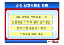 [인터넷마케팅기획서] 순창고추장-11