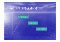 [조직구조론] 국민은행의 조직통합-7