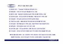 [국제경영] 도루코 경쟁전략-6