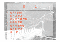 [한류열풍] 중국한류의 영향과 활성화방안-2