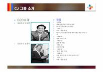 [인적자원관리] CJ의 임금제도사례 분석- 직무 성과급-3
