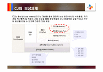 [인적자원관리] CJ의 임금제도사례 분석- 직무 성과급-7