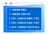 (주)태평양의 국제경영의 실패와 성공 - 프랑스시장을 중심으로-2