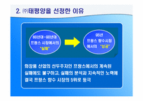 (주)태평양의 국제경영의 실패와 성공 - 프랑스시장을 중심으로-5