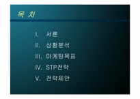 [사업계획서] 노인식사배달 사업계획서-2