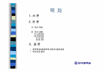 [스포츠마케팅] 대구FC 마케팅전략분석-2