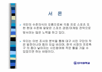 [스포츠마케팅] 대구FC 마케팅전략분석-3