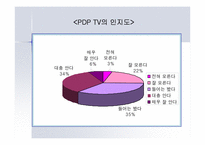 [마케팅전략] PDP TV 마케팅전략분석-9