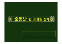 [마케팅전략] `호동신`의 마케팅전략-1