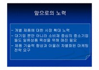 [브랜드전략] 국내 브랜드의 해외성공사례-17