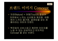 Natuur나뚜루아이스크림 마케팅전략 및 광고전략-6