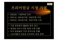 Natuur나뚜루아이스크림 마케팅전략 및 광고전략-8