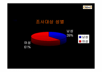 Natuur나뚜루아이스크림 마케팅전략 및 광고전략-11