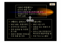 Natuur나뚜루아이스크림 마케팅전략 및 광고전략-17