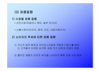 [국제경영] VK Corporation 해외시장전략-9