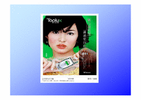 [국제경영] VK Corporation 해외시장전략-17