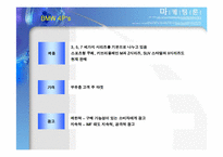 [프리미엄마케팅] 프리미엄마케팅전략을 이용한 BMW-13