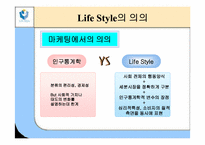 [소비자행동론] 라이프스타일(LifeStyle)과 소비자행동-4