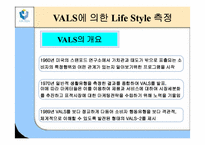 [소비자행동론] 라이프스타일(LifeStyle)과 소비자행동-13