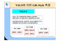 [소비자행동론] 라이프스타일(LifeStyle)과 소비자행동-15
