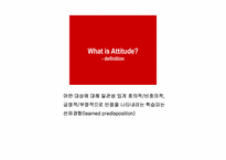 [소비자행동론] 태도(Attitude)-3