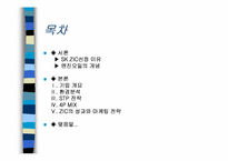 [국제마케팅] 한국시장의 SKZIC를 중심으로한 마케팅믹스전략-2