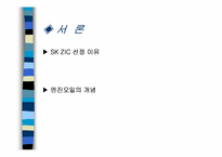 [국제마케팅] 한국시장의 SKZIC를 중심으로한 마케팅믹스전략-3