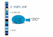 [국제마케팅] 한국시장의 SKZIC를 중심으로한 마케팅믹스전략-5