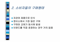 [국제마케팅] 한국시장의 SKZIC를 중심으로한 마케팅믹스전략-12