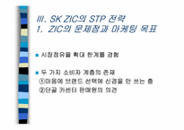 [국제마케팅] 한국시장의 SKZIC를 중심으로한 마케팅믹스전략-14