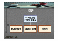 [기업이미지] 광고산업을 통한 우리기업의 국제경쟁력 이미지제고방안-12