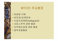 [국제경영] WTO체제와 기업의 향후 방향-12