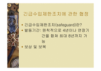 [국제경영] WTO체제와 기업의 향후 방향-15