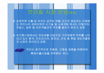 [전자상거래] 남미시장수출전략-7
