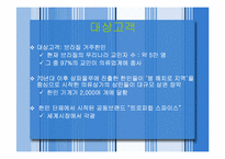 [전자상거래] 남미시장수출전략-11