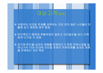 [전자상거래] 남미시장수출전략-12