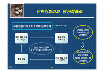 [인사관리] 유한킴벌리-15