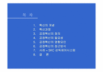 [경영조직론] 공정혁신-2